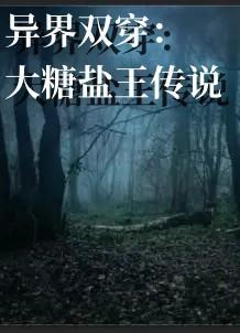 异界双穿大糖盐王传说免费阅读