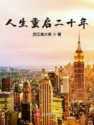 人生重启二十年 亿软