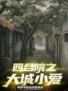小四合院视频