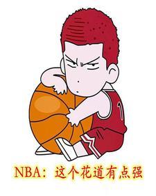 nba这个花道有点强