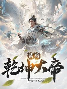 紫薇大帝视频