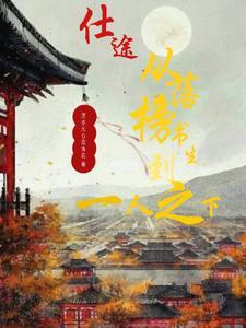 仕途从落榜书生到一人之下 流水无心恋落花