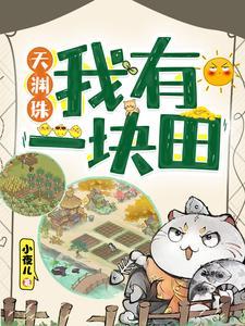 天渊珠我有一块田动漫