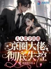 夫人又带球跑了 十月微笑