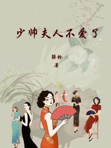 少帅夫人不许逃免费阅读