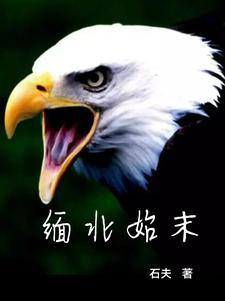 缅北的情况
