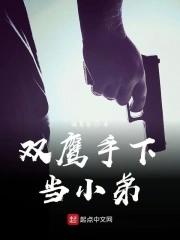 双鹰是什么