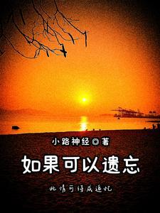 如果遗忘是唯一的回信免费阅读