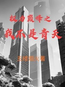权力巅峰之我不是青天第一部免费阅