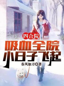 四合院重生贾家