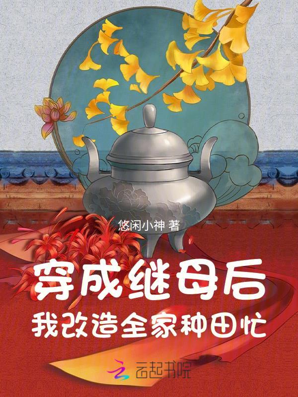 穿成后妈文