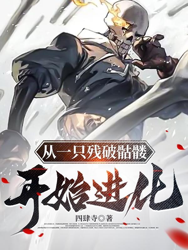 从一只残破骷髅开始进化动漫全集