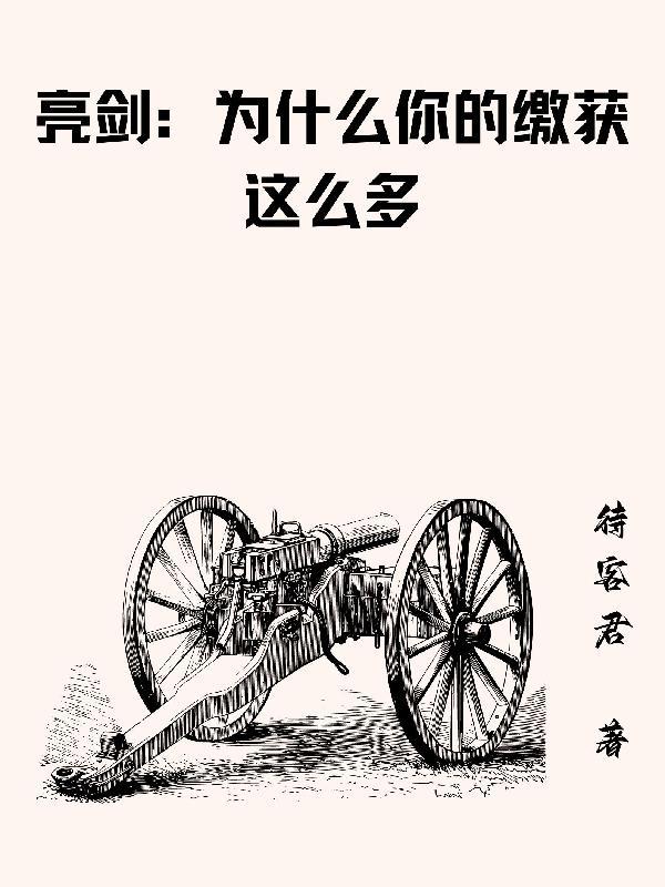 亮剑为什么你的缴获这么多/待客君