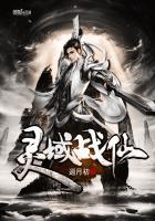 灵域免费阅读全文529章