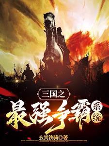 三国之美女如此多娇TXT