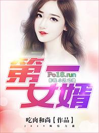 第一女婿免费全本