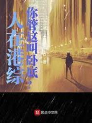 你管这叫卧底? 在线阅读