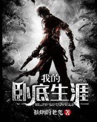 我的卧底生涯电视剧在线观看
