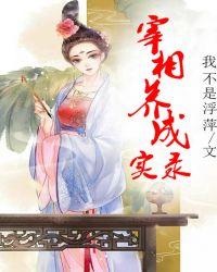 宰相首辅养成手册