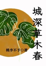 城春草木深民国文