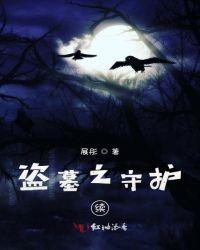 盗墓守墓人