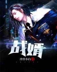 战婿归来全集免费观看