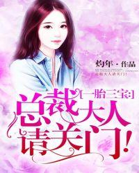 一胎三宝总裁大人请关门免费阅读无弹窗