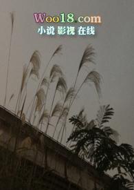 隐秘参数