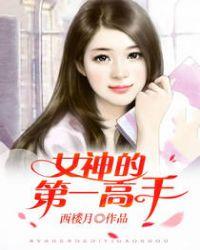 女神的第一高手txt
