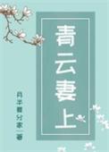 青云妻上全文免费阅读