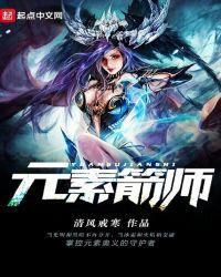 元素箭师TXT百度