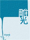 雕光by平生好剑全文免费阅读