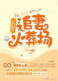 追妻火葬场古言
