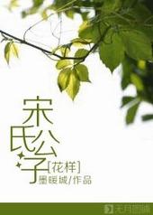 宋氏大全