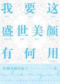 我要这盛世美颜有何用讲的是什么