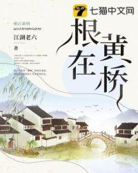 根在黄土塬丁红娥歌词