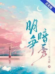 明争暗斗明的意思