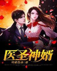 医手圣婿