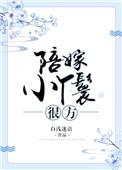 陪嫁小丫头