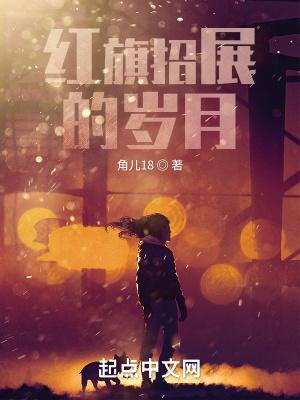 红旗招展指标公式