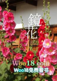 镜花abo