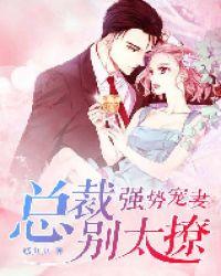 强势追爱总裁别乱来