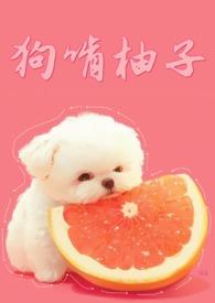 狗啃柚子 西U