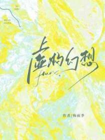 虚幻的想象
