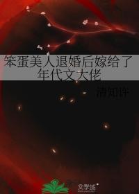 笨蛋美人的错误攻略后