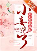 夫人跟老爷的小妾跑了怎么办