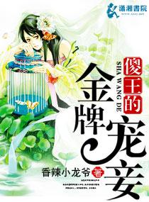 傻王的宠妃免费