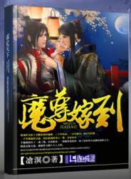 魔尊嫁到by凔溟