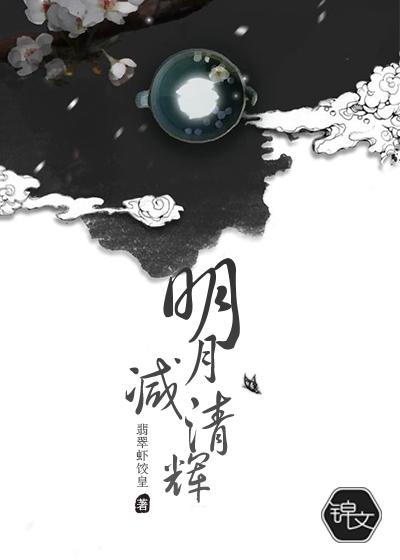 明月减清辉TXT