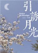 引诱月光 江天一笑